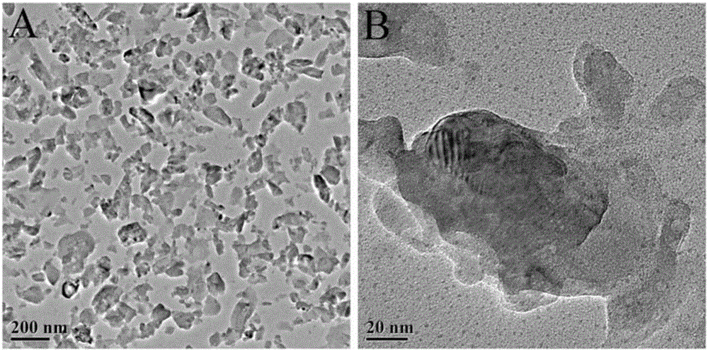 Polylactic acid/nanometer beta-tricalcium phosphate composite porous bracket and preparation method thereof