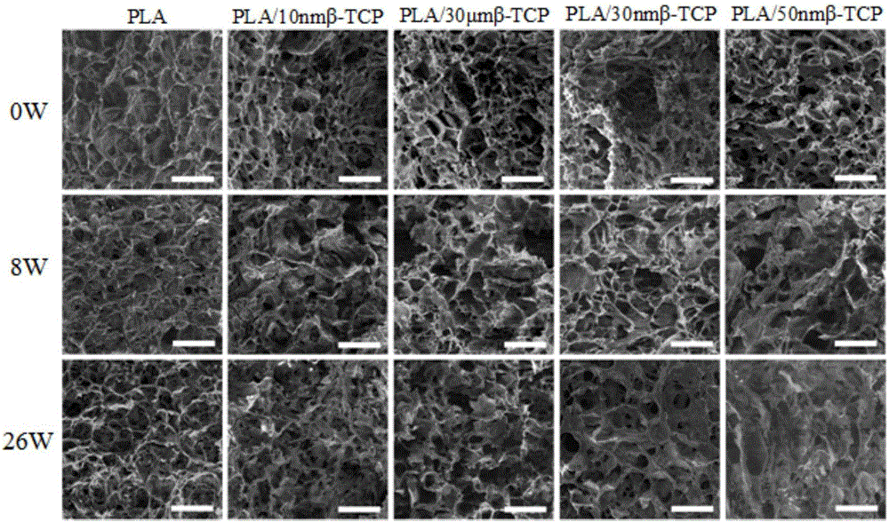 Polylactic acid/nanometer beta-tricalcium phosphate composite porous bracket and preparation method thereof