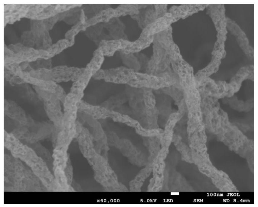 A kind of positive electrode material of lithium-sulfur battery and preparation method thereof