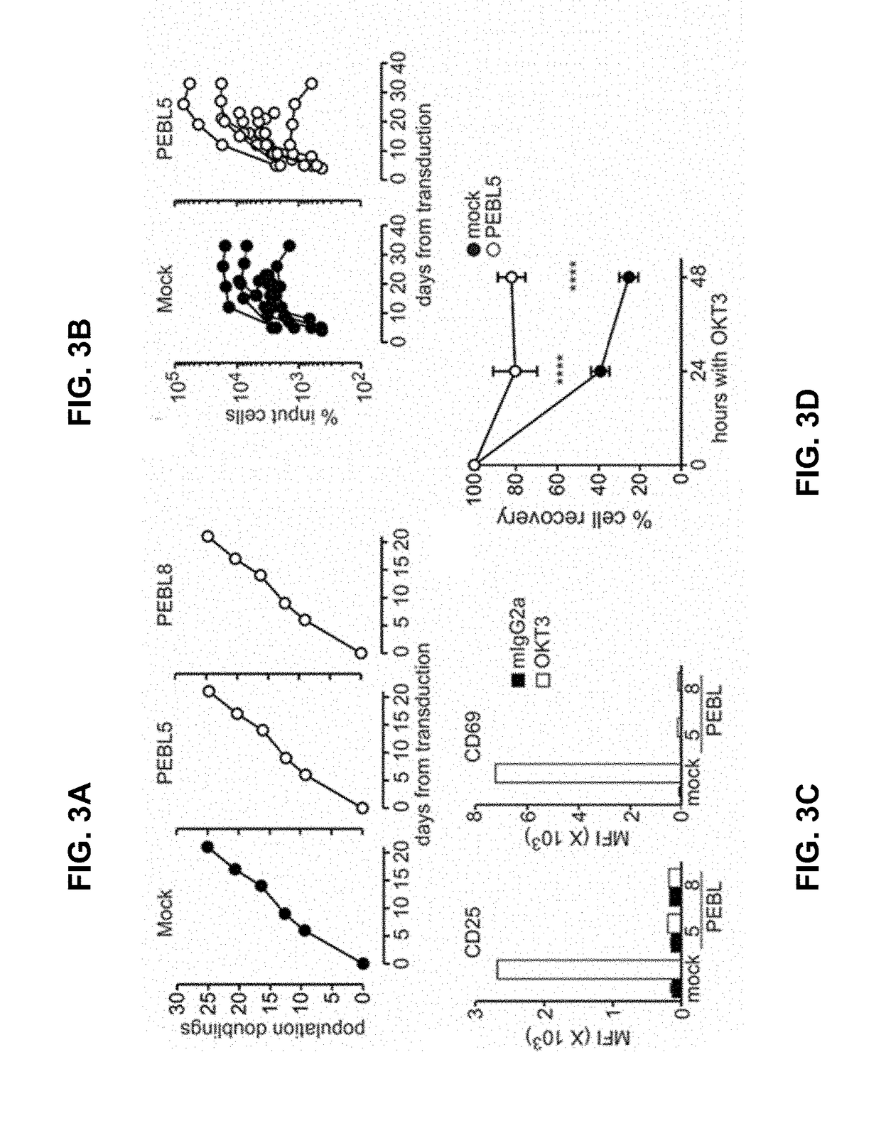 T cell receptor-deficient chimeric antigen receptor t-cells and methods of use thereof