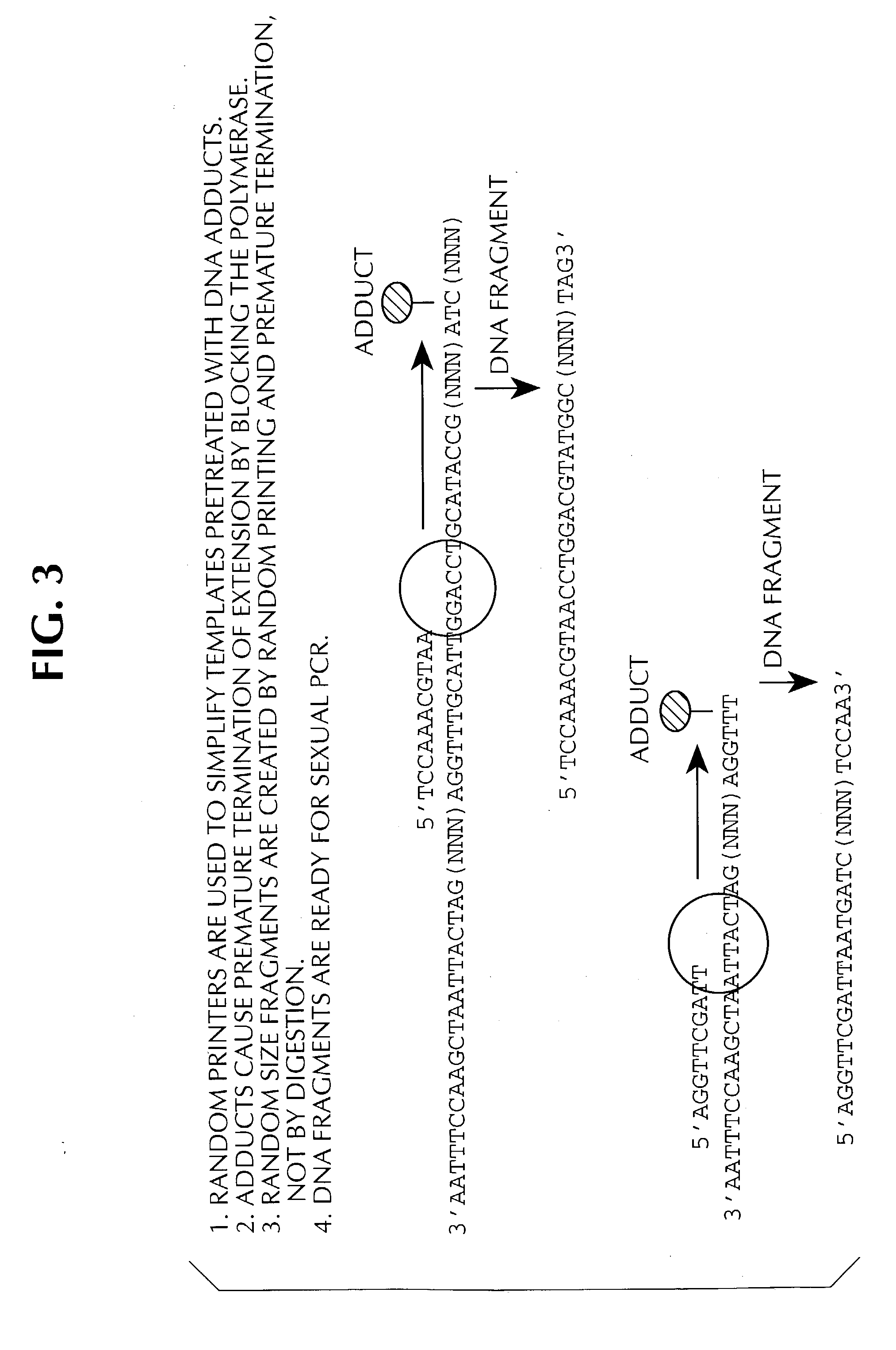 Method of DNA shuffling with polynucleotides produced by blocking or interrupting a synthesis or amplification process