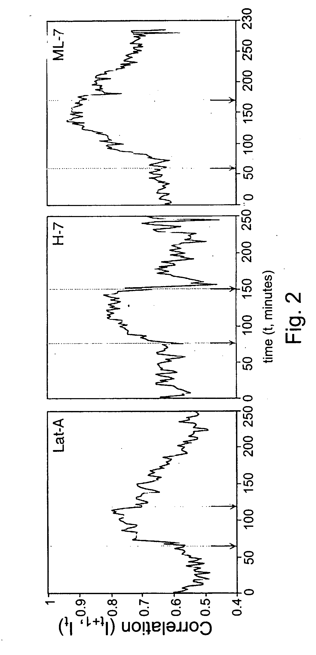 Methods of isolating genes encoding proteins of specific function and of screening for pharmaceutically active agents