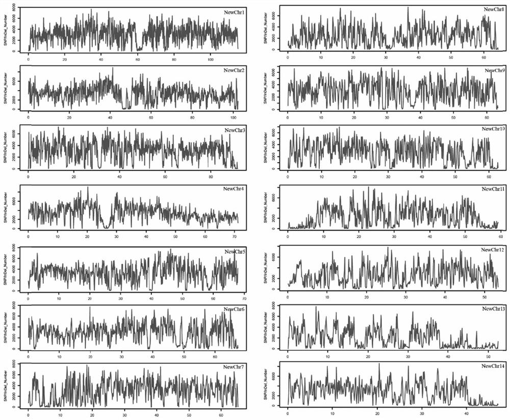 Breeding method of pinctada martensii growth character improved variety based on whole genome selection