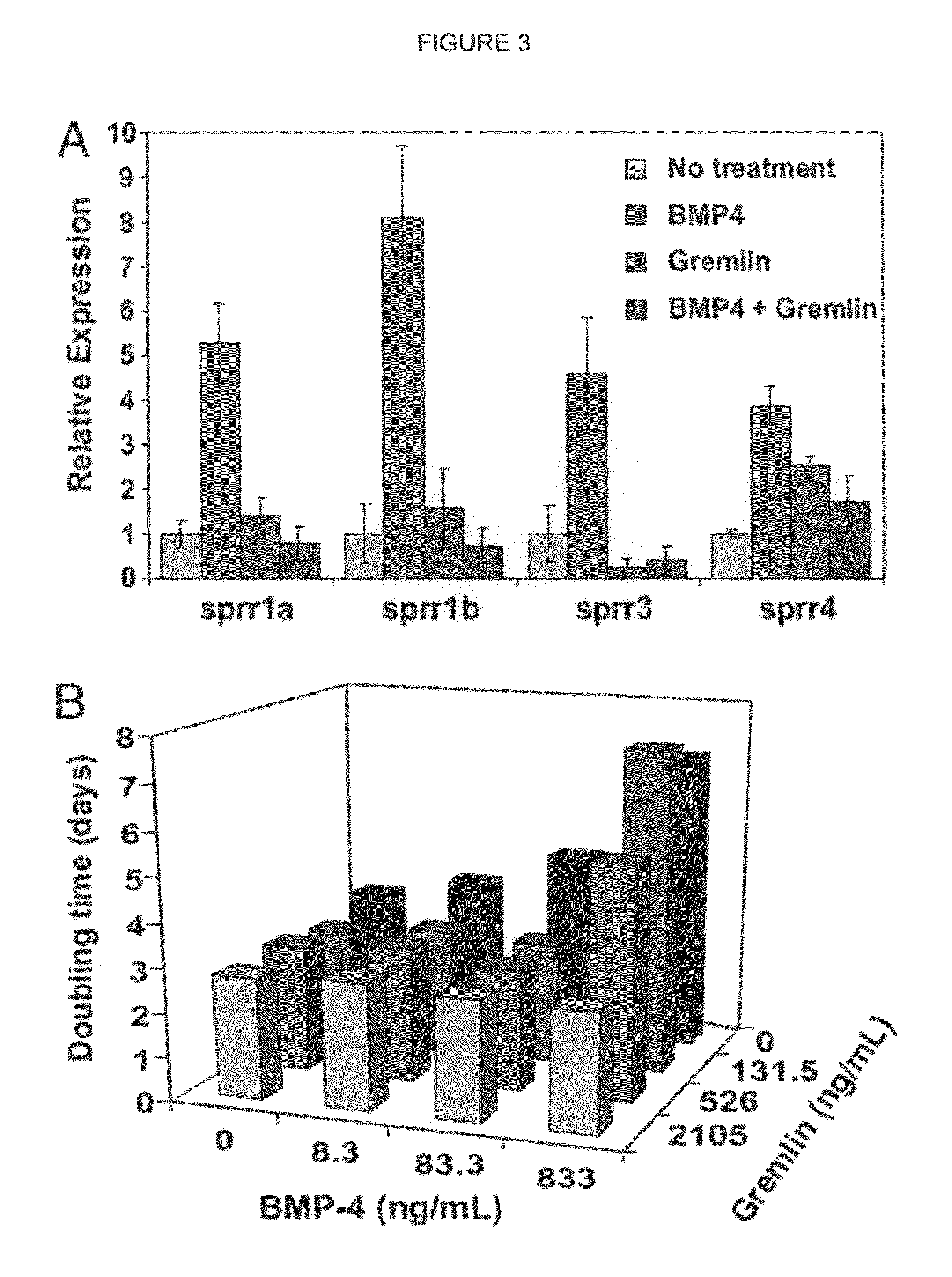 Bone morphogenetic protein antagonist and uses thereof