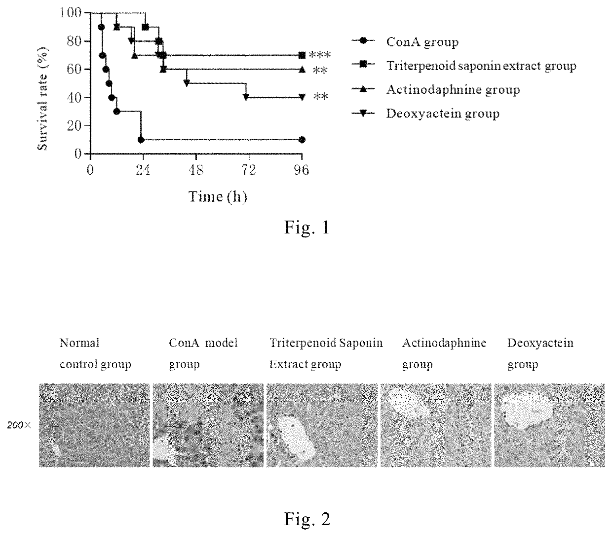 Use of cimicifugae rhizoma triterpenoid saponin extract, actein, and deoxyactein