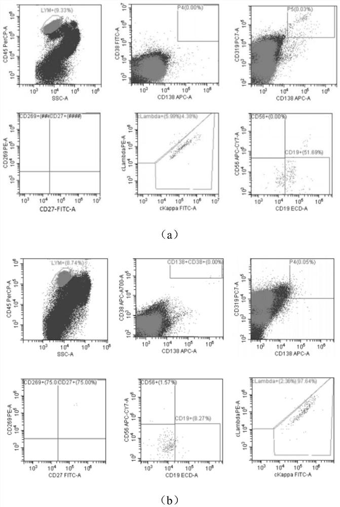 Antibody composition for detecting minimal residual lesions of multiple myeloma, kit and application