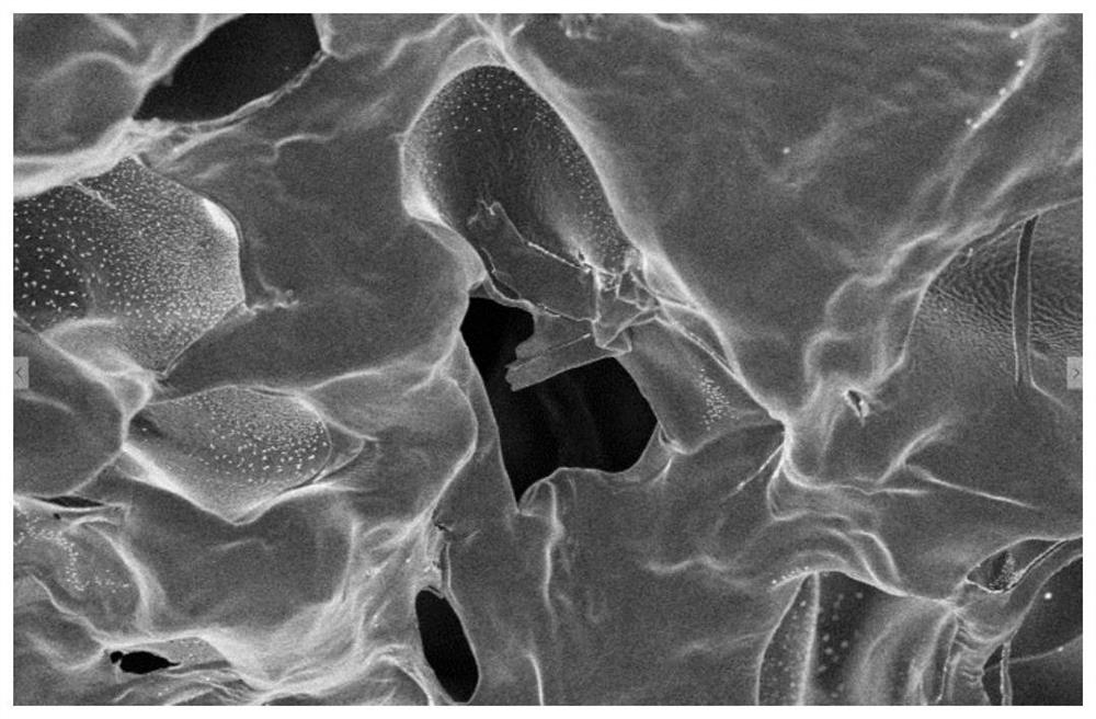 A polymer self-healing gel integrating magnetic resonance imaging and photothermal therapy and its preparation and application