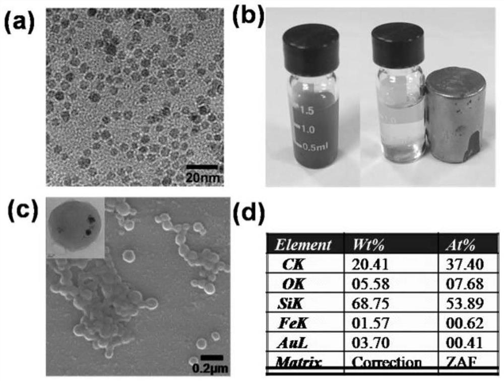 Fluorescent magnetic resonance bimodal imaging nanoprobe for targeting tumor site