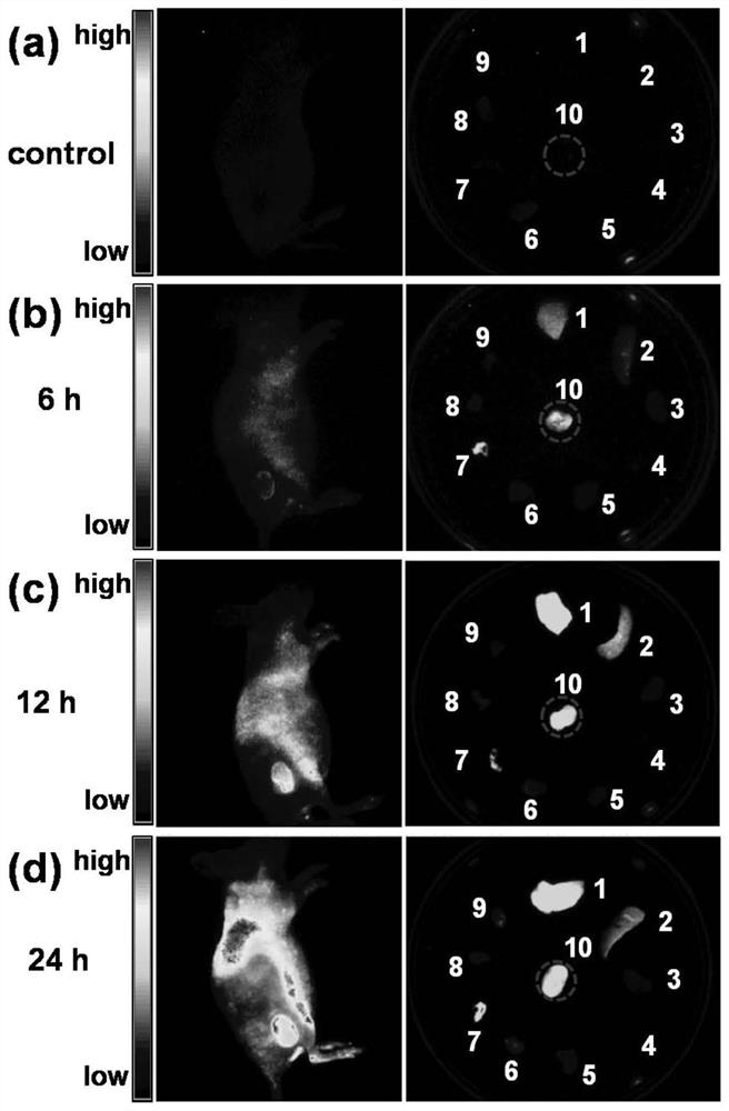 Fluorescent magnetic resonance bimodal imaging nanoprobe for targeting tumor site