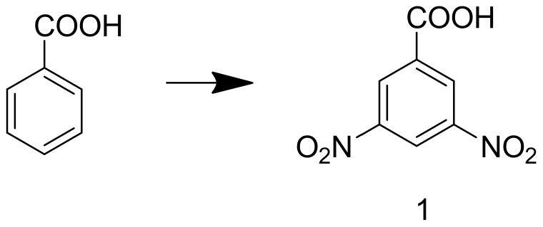 Probiotic filled chocolate candy and preparation method thereof