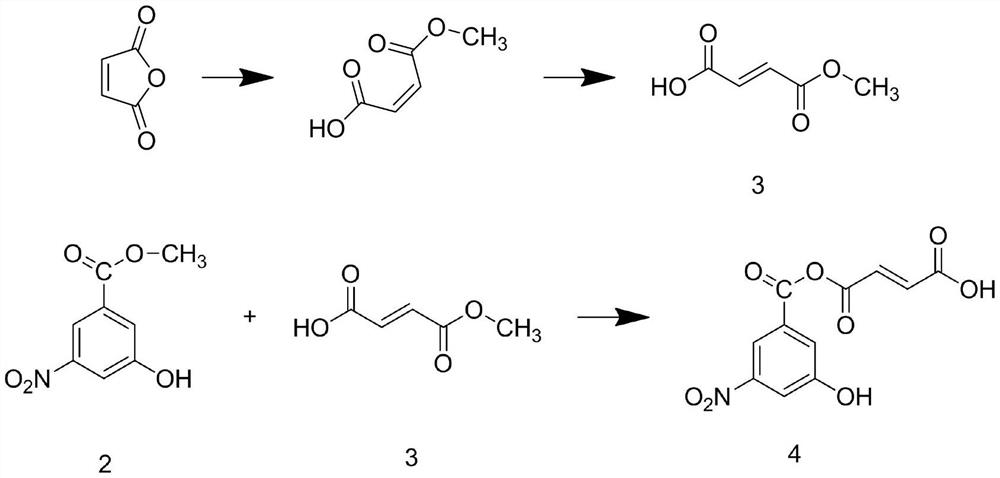 Probiotic filled chocolate candy and preparation method thereof