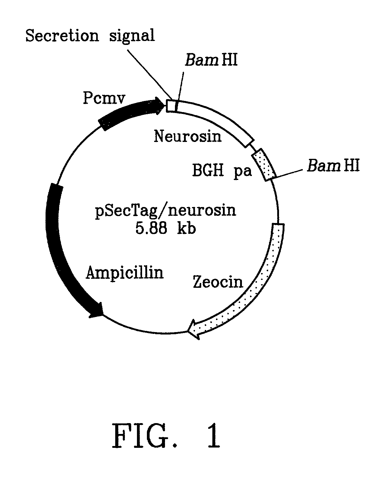 Serine protease specific monoclonal antibodies and their use