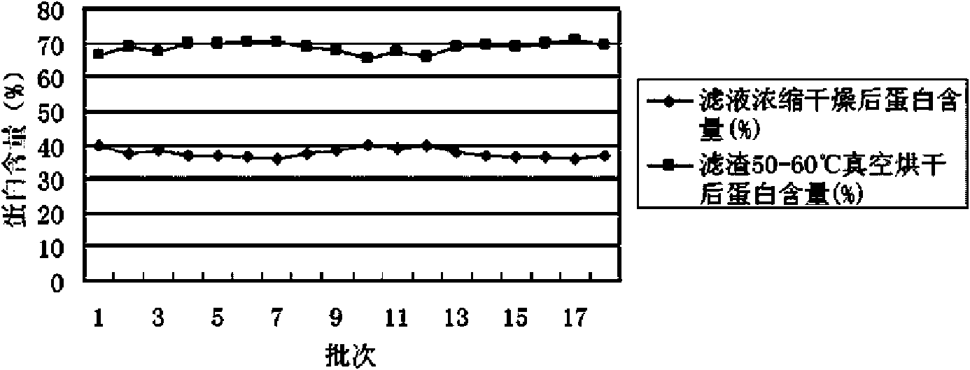 Preparation method of concentrated protein of cottonseeds and processing production line thereof
