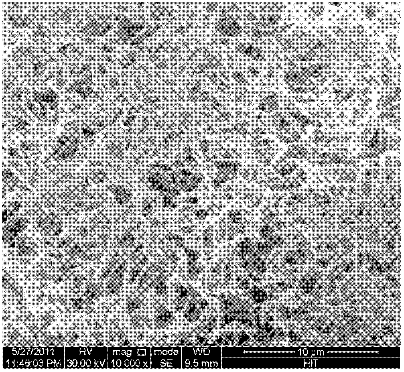 Method for preparing silver telluride thermoelectric material by using ordinary pressure microwave synthesis method