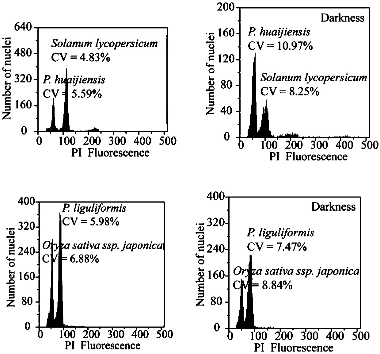 A method for measuring the genome size of Gesneriaceae plants