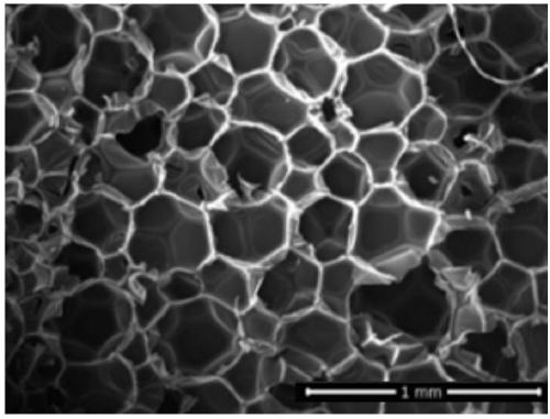 Alkaline foaming agent containing orthoformic acid alcohol amine salt and carbonic acid ethanolamine and application to preparation of polyurethane solar foam material