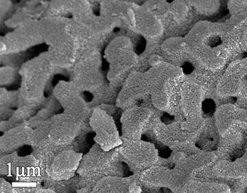 A low temperature denitrification process