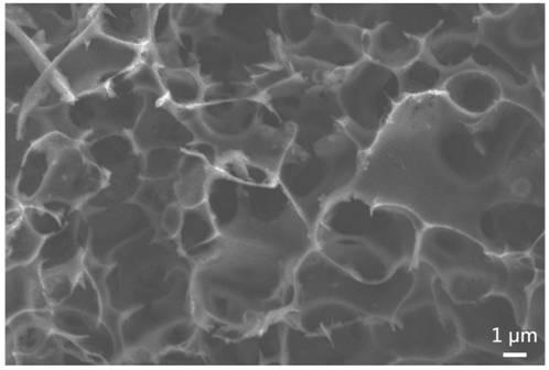 A preparation method of biochar/polymer composite film applied to solar water evaporation