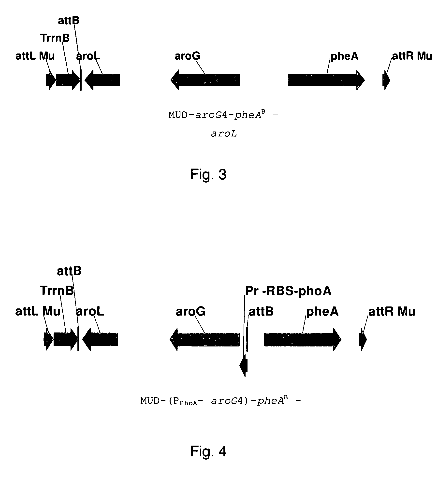 Method for production of an L-amino acid