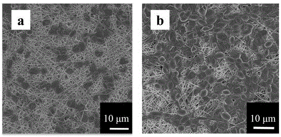 Microorganism-loaded sandwiched micro-nano fiber composite membrane and preparation method and application thereof