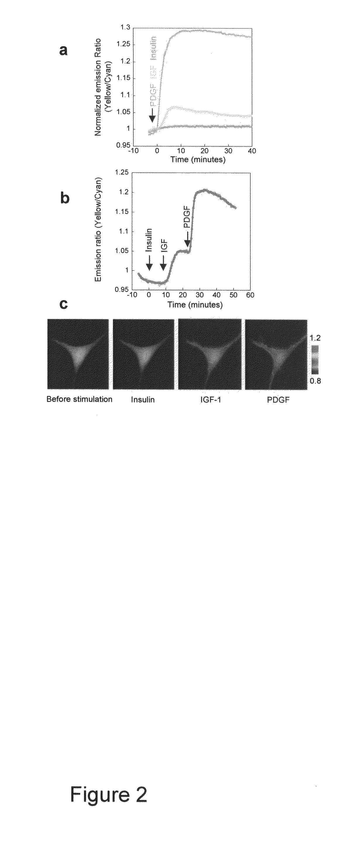 Emission ratiometric indicators of phosphoinositides