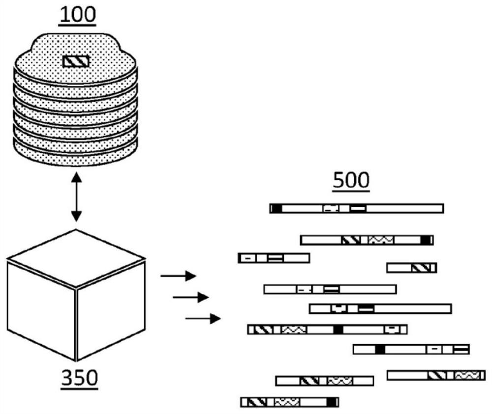 Biological sequencing