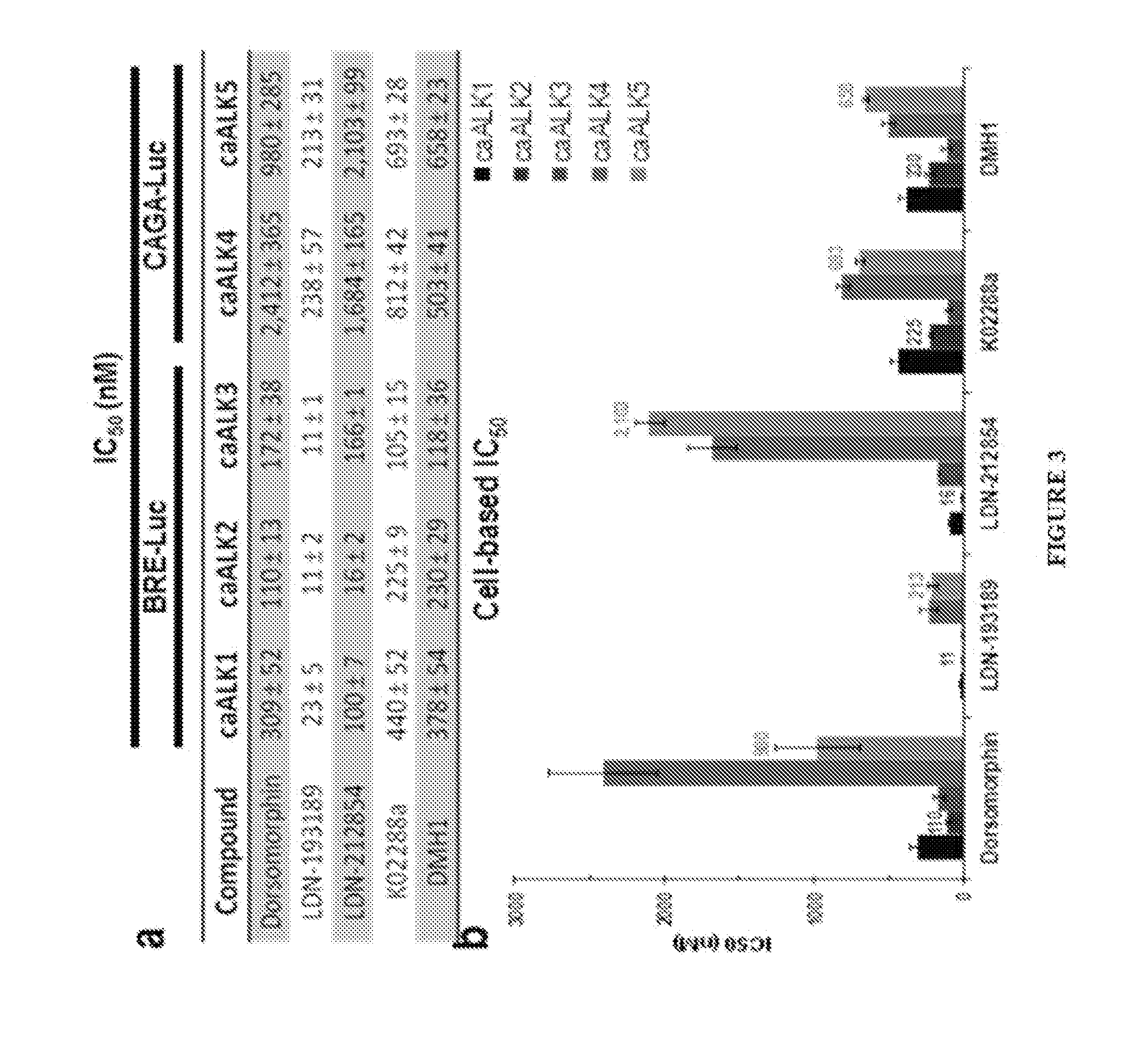 Bmp inhibitors and methods of use thereof