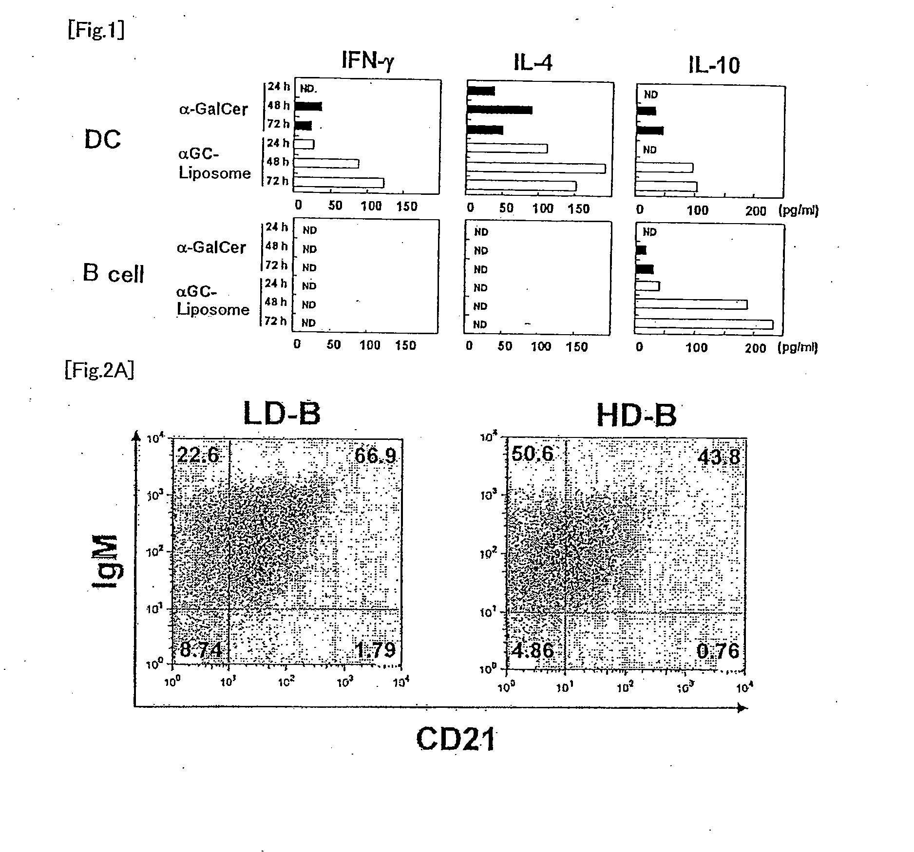 Preventative or therapeutic agent and method for immune disease