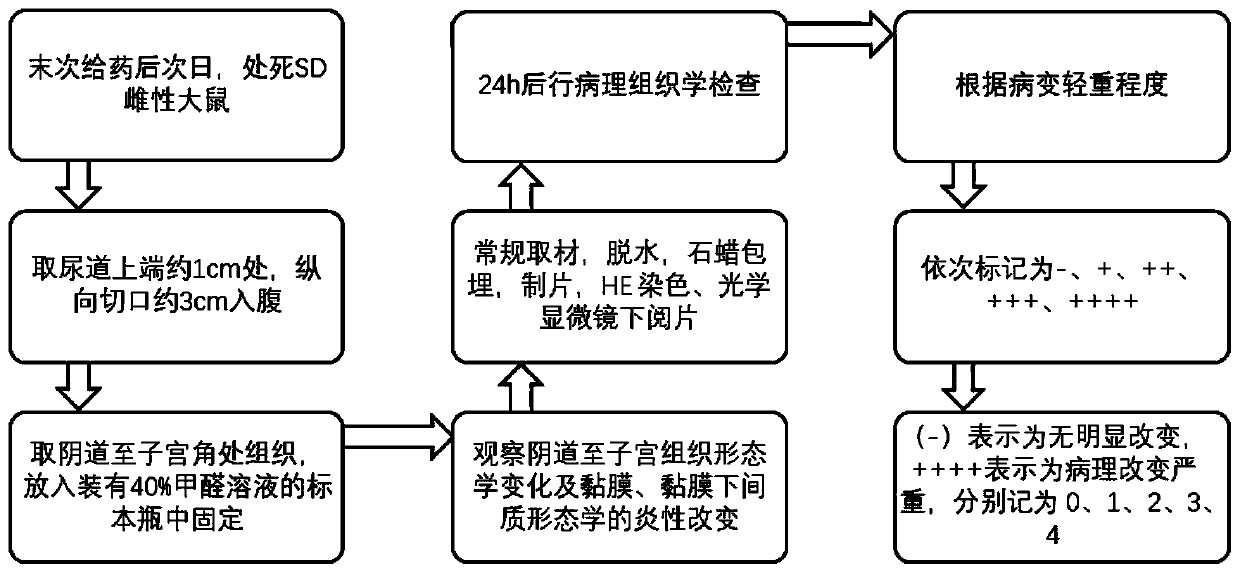 Callicarpa nudiflora Hook. et Arn. extract, preparation method and application of callicarpa nudiflora Hook. et Arn. Extract for resisting cervicitis