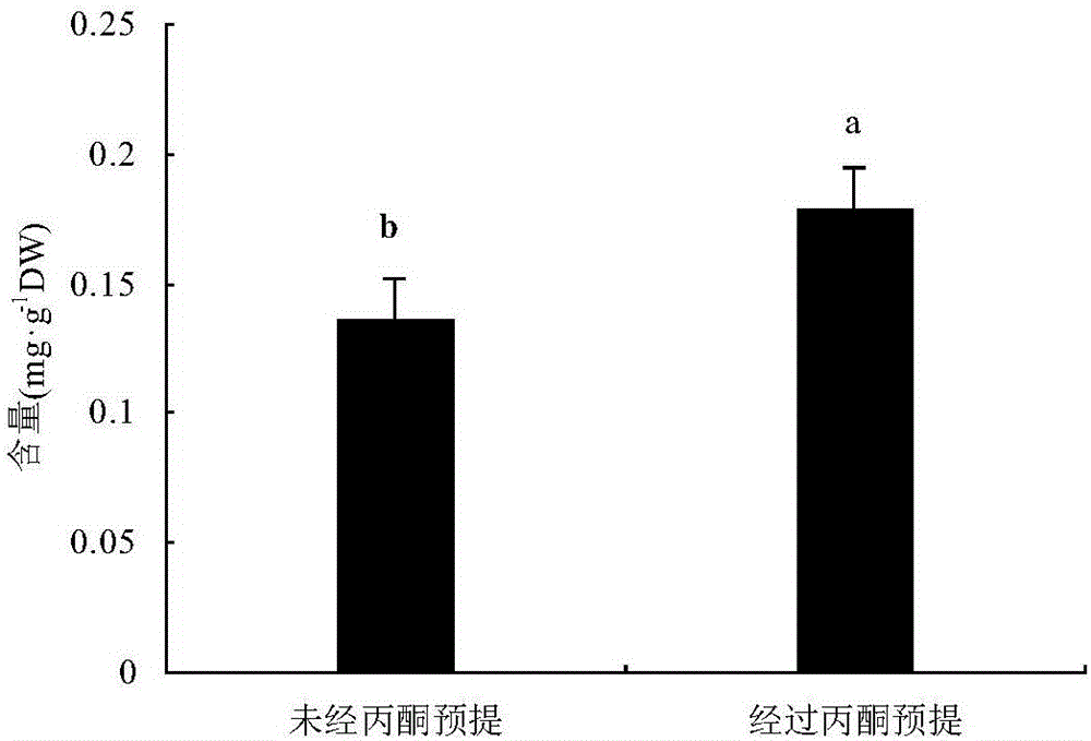 Suaeda salsa seed haematochrome extraction process