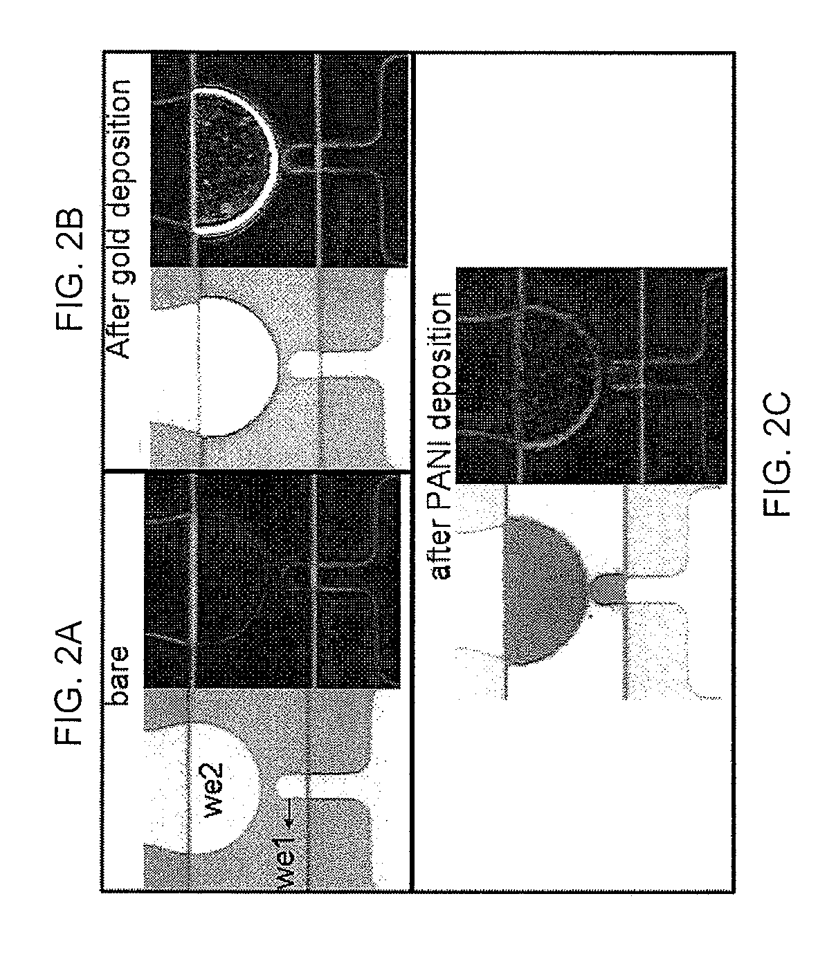 Systems and methods for integrated electrochemical and electrical detection