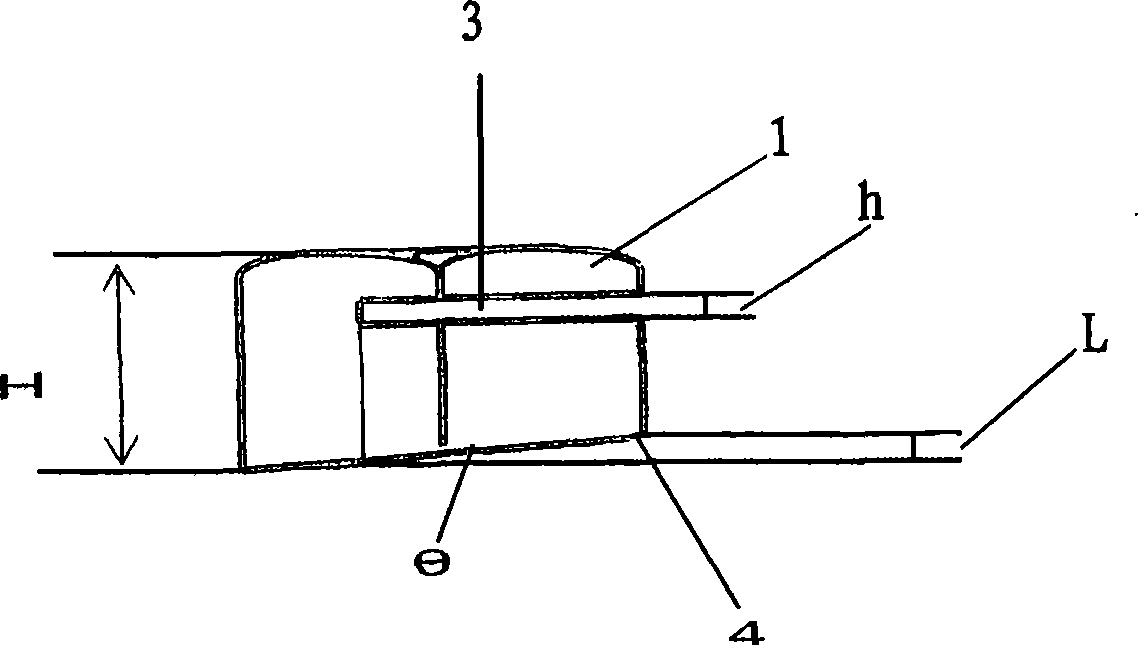Nut body apparatus with release prevention structure
