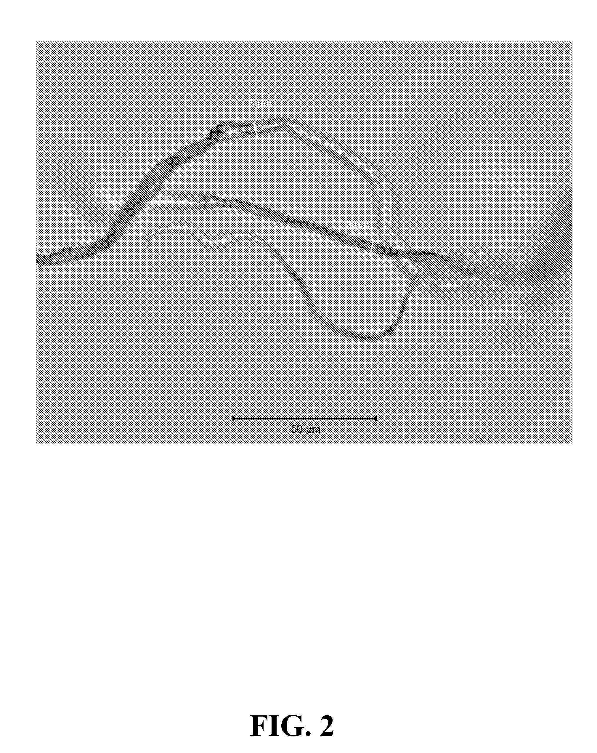 Mixed polymer superabsorbent fibers containing cellulose