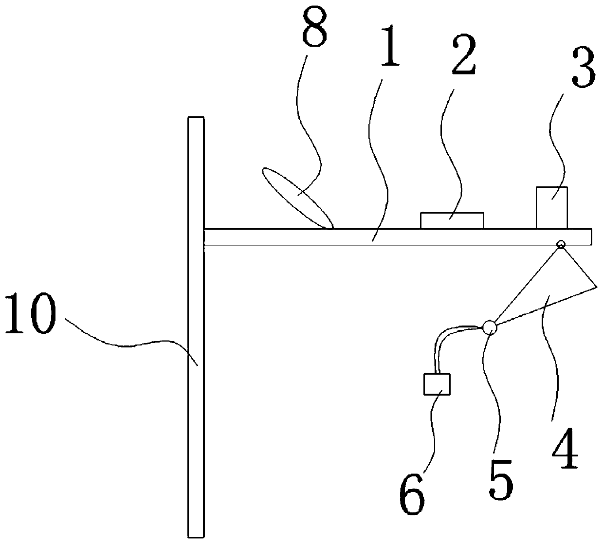 Dummy applied to semen collection of trionychidae animals