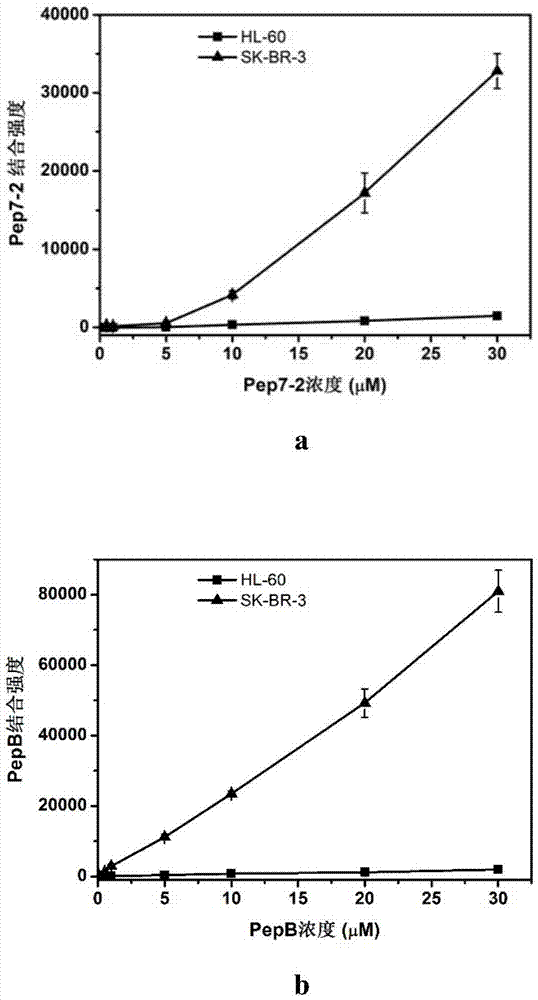 Polypeptide-albumin coupling drug and preparing method and application thereof
