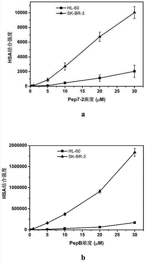 Polypeptide-albumin coupling drug and preparing method and application thereof