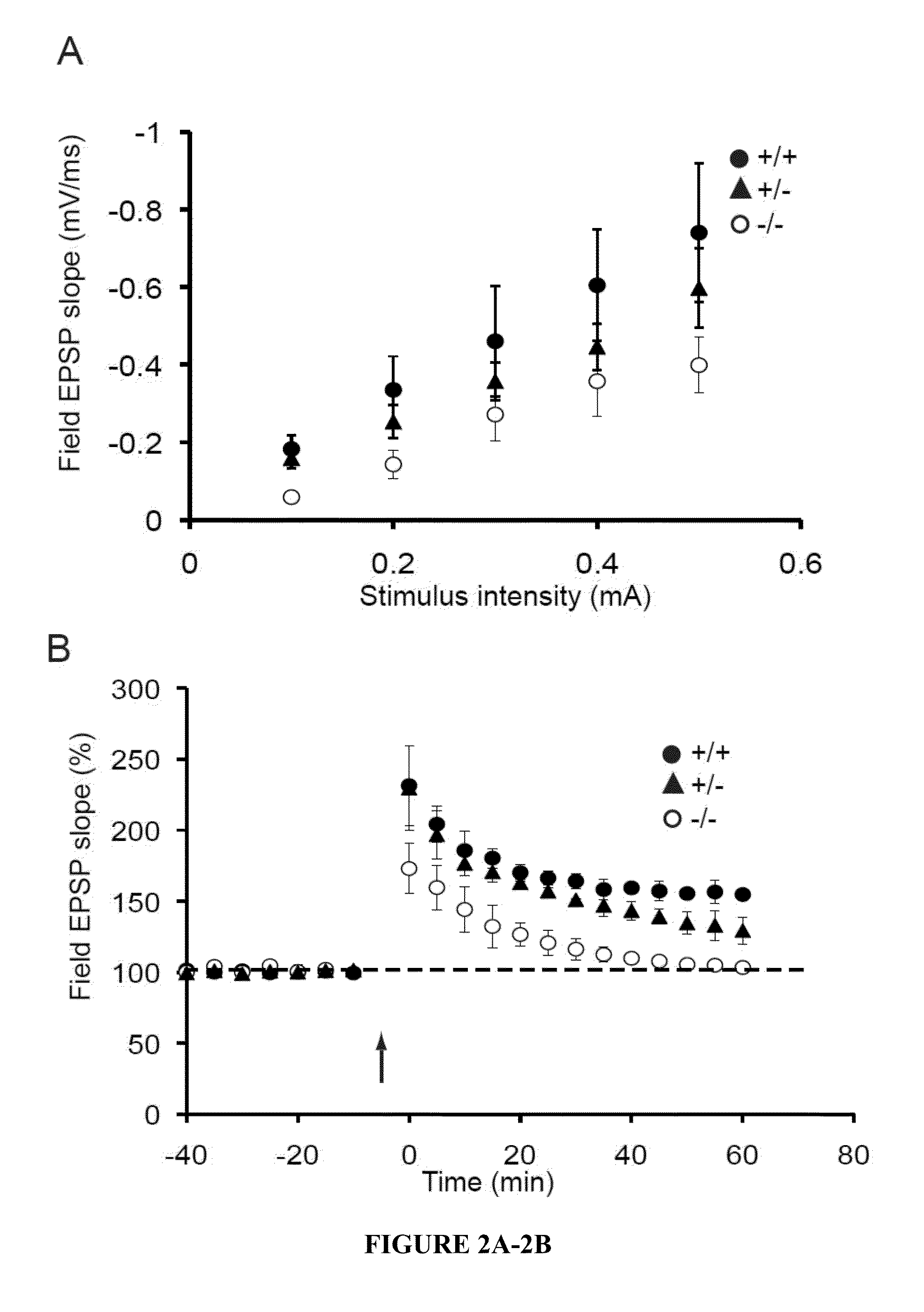 Methods and assays for treating subjects with SHANK3 deletion, mutation or reduced expression