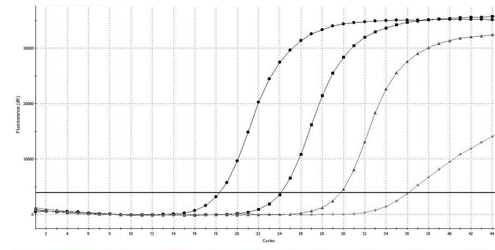 Primer pair and probe used for detecting AIDS treatment medicine DDI and TDF drug-resistance mutation sites and application thereof