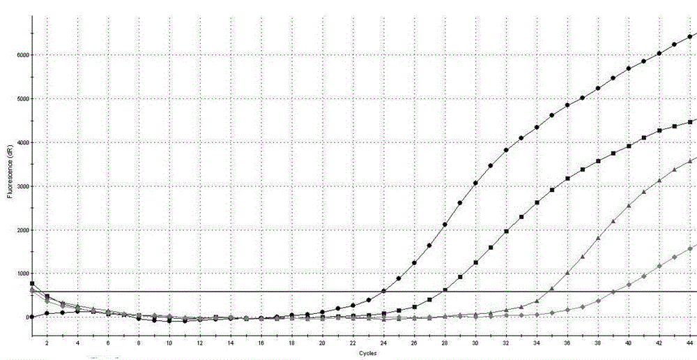 Primer pair and probe used for detecting AIDS treatment medicine DDI and TDF drug-resistance mutation sites and application thereof