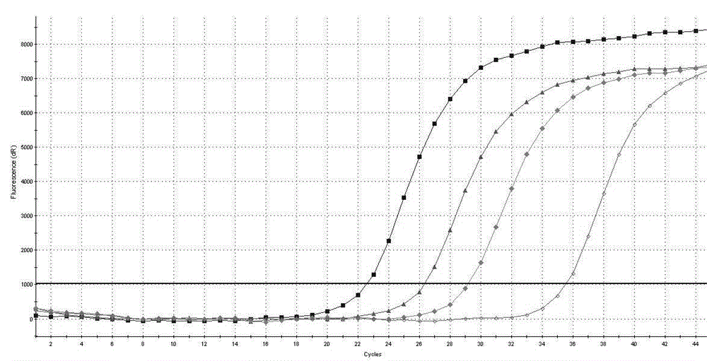 Primer pair and probe used for detecting AIDS treatment medicine DDI and TDF drug-resistance mutation sites and application thereof