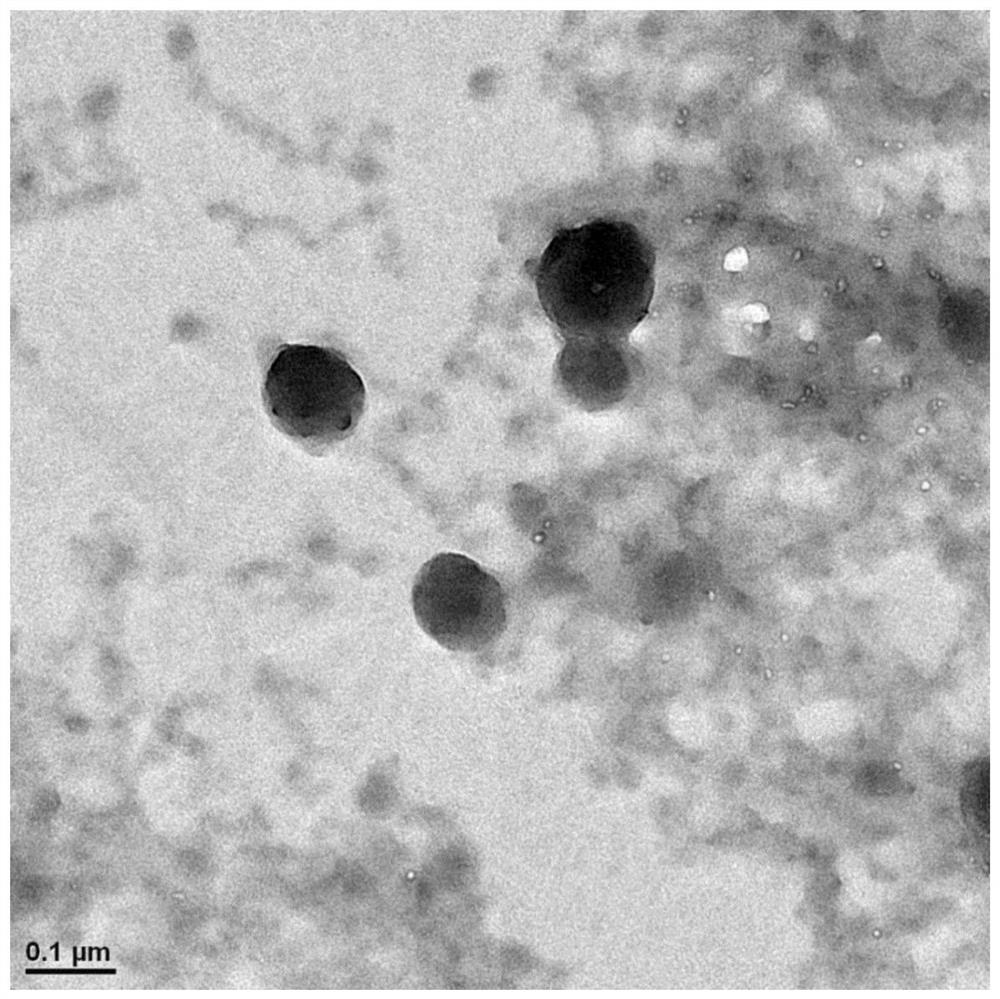 Microalgae-based nano carbon quantum dot solid powder as well as preparation method and application thereof
