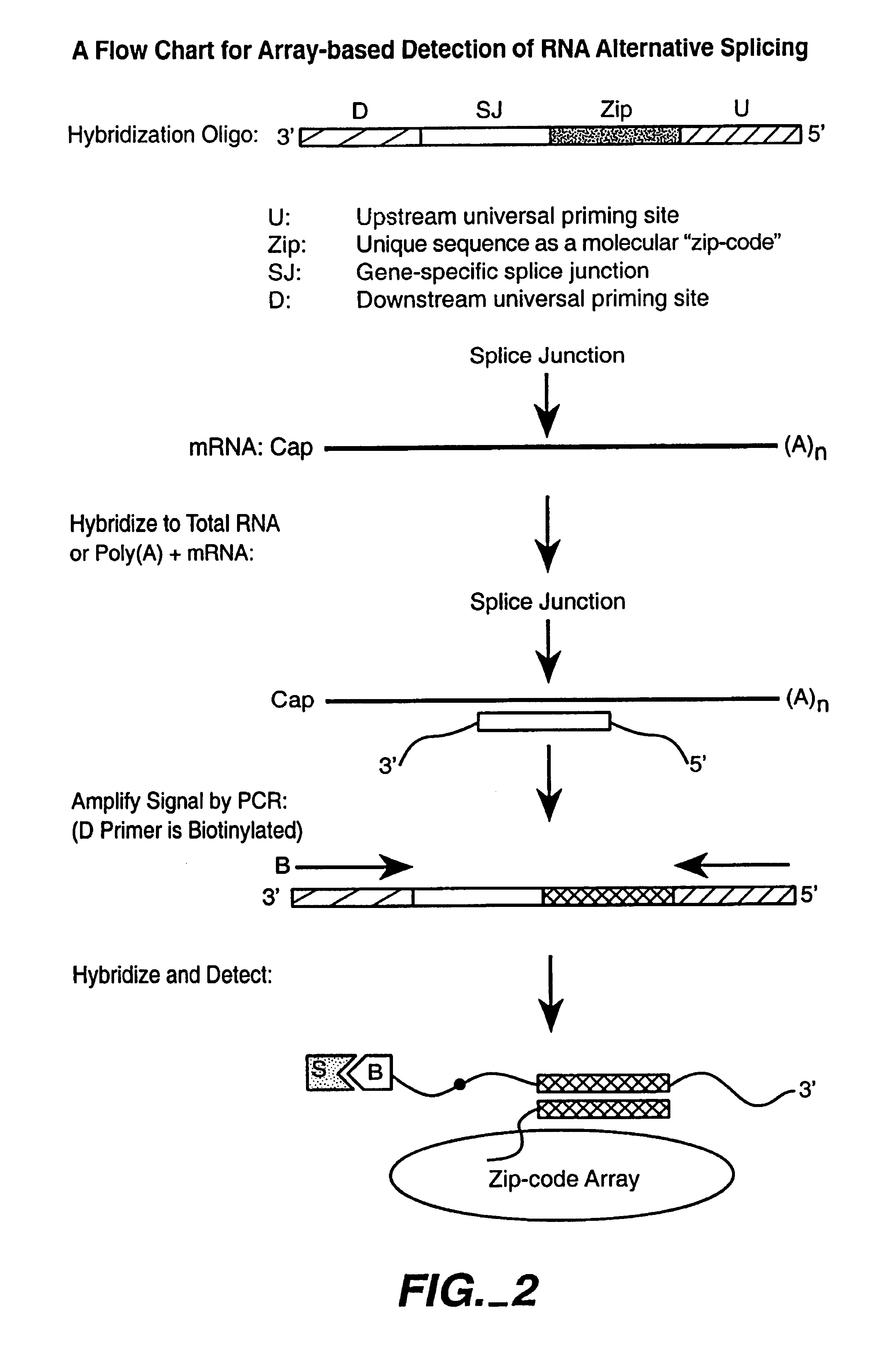 Multiplexed detection of analytes