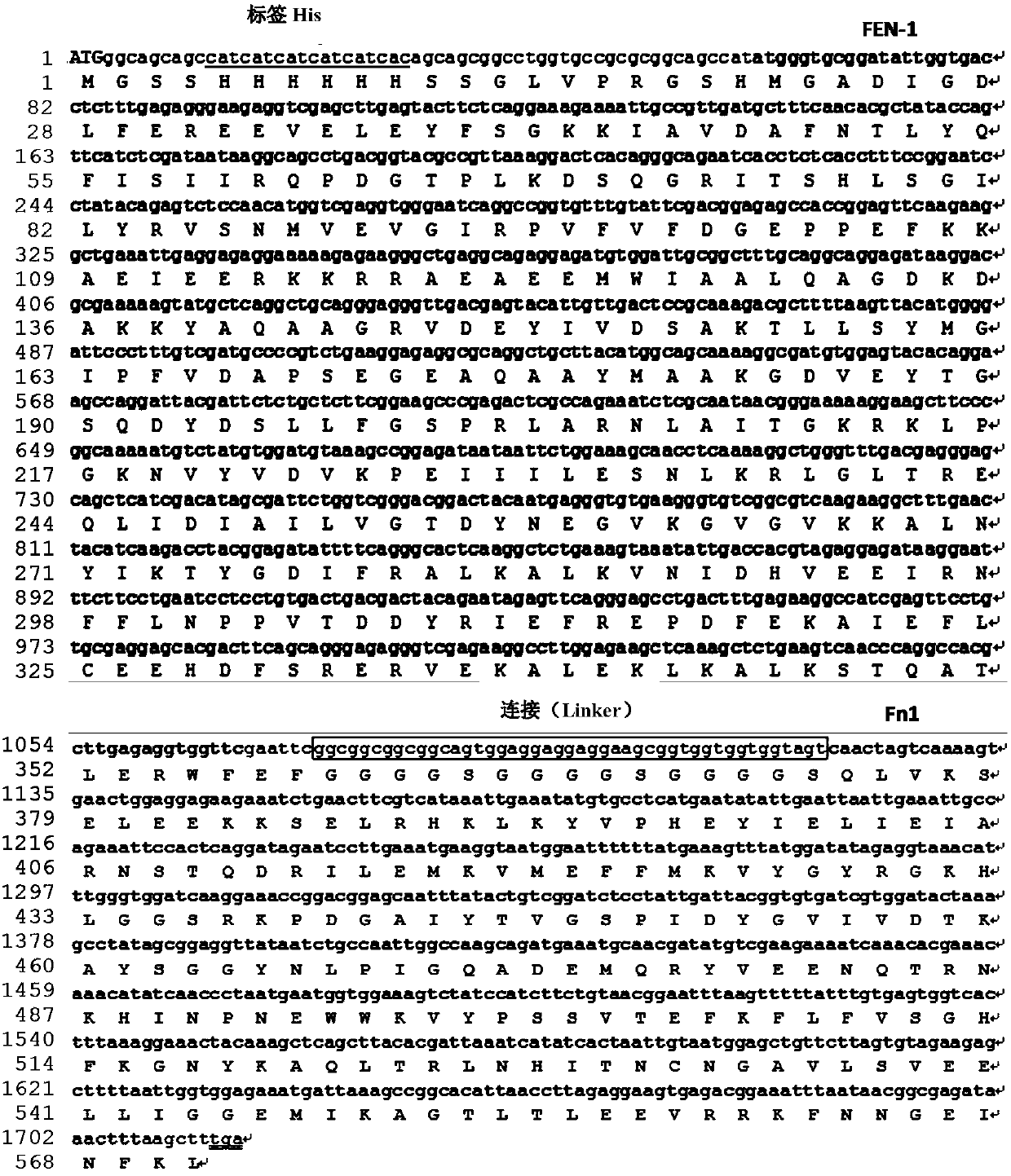 Target polynucleotide editing method and application thereof