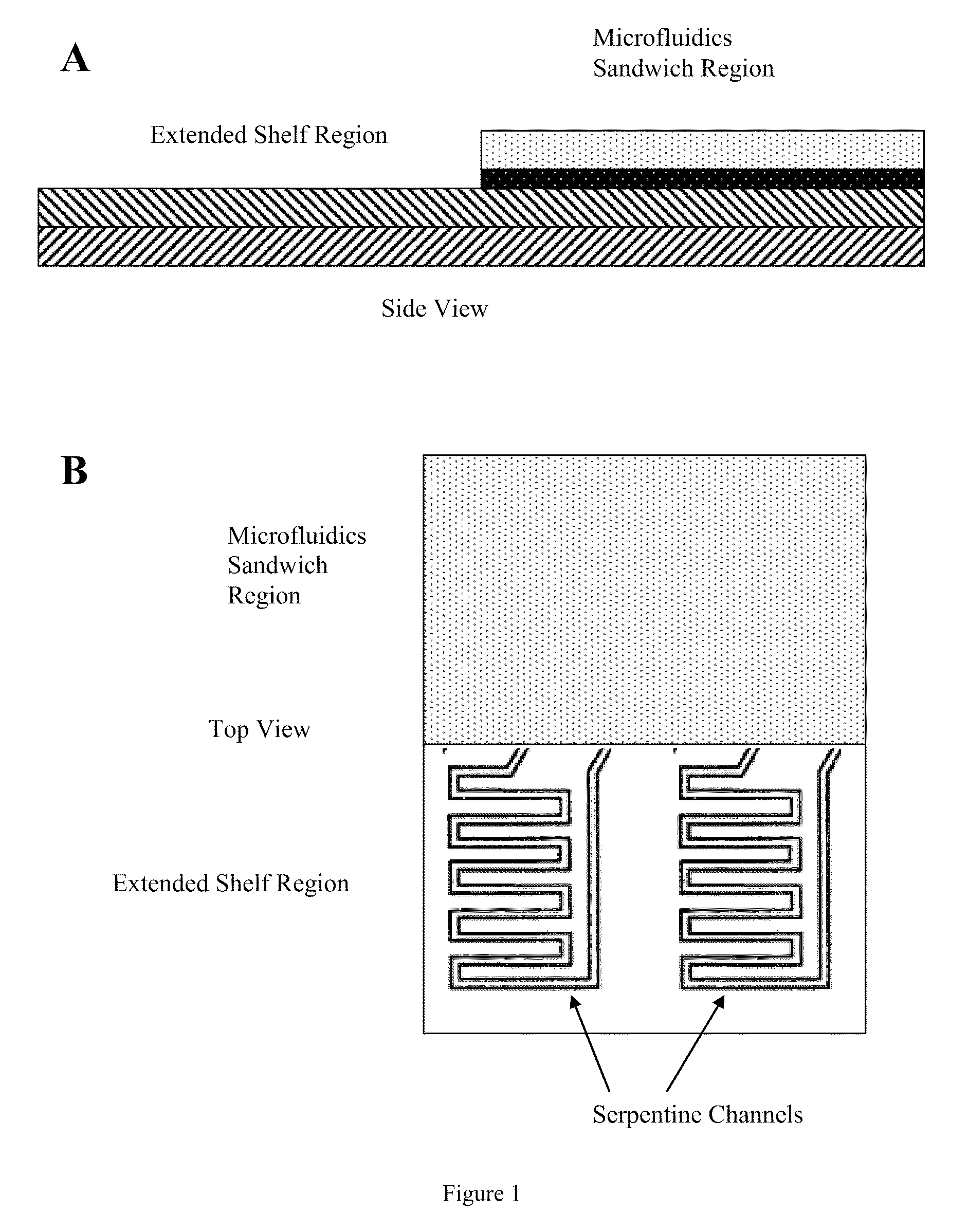 Instrument with microfluidic chip
