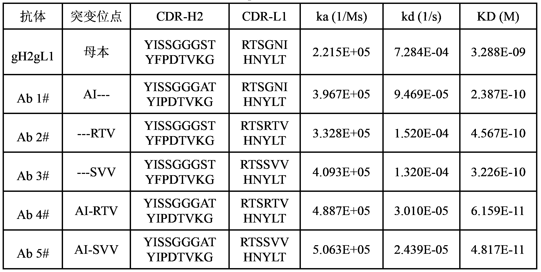 Anti-IL-1beta humanized monoclonal antibody, preparation method and application thereof