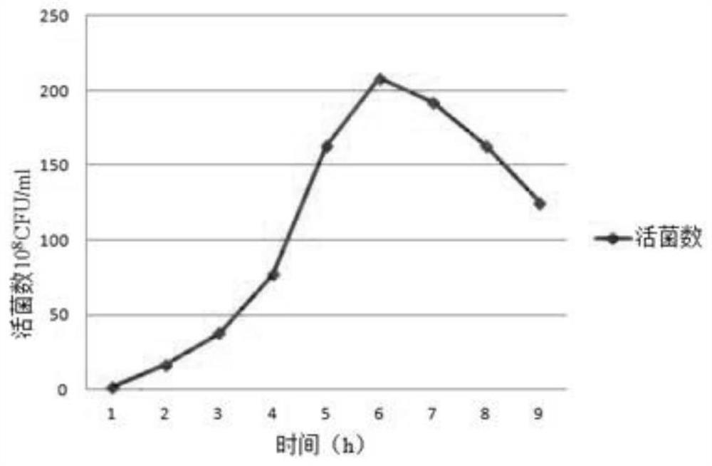 Serum-free high-density fermentation culture process for serum type 9 streptococcus suis