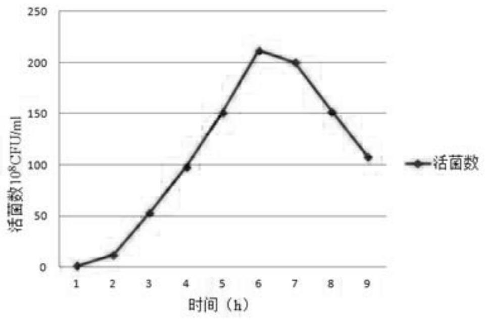 Serum-free high-density fermentation culture process for serum type 9 streptococcus suis