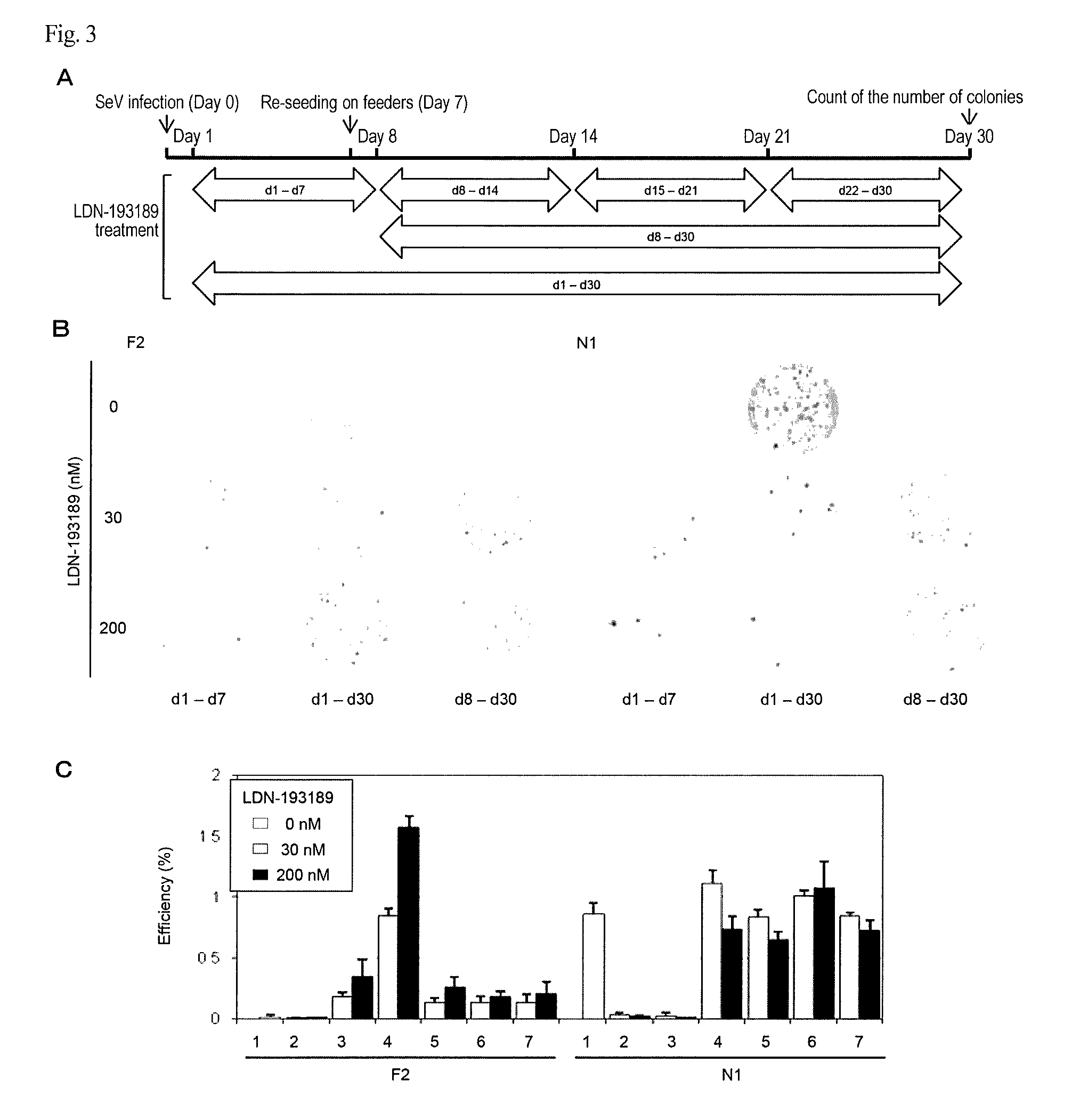 Method of screening for substances capable of promoting induction of induced pluripotent stem cells
