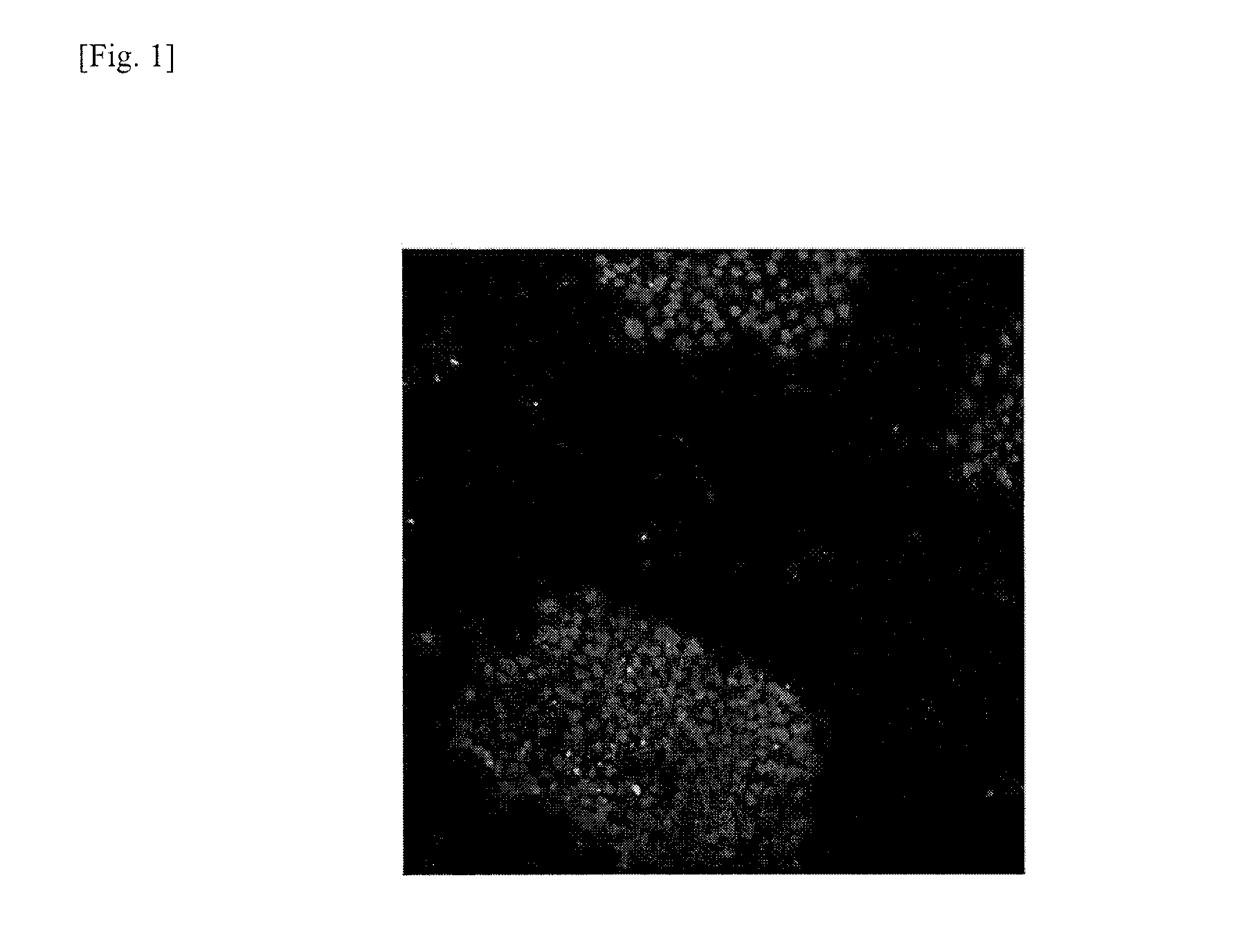 Method for removing genomically unstable ips cells and synthetic peptide used therefor