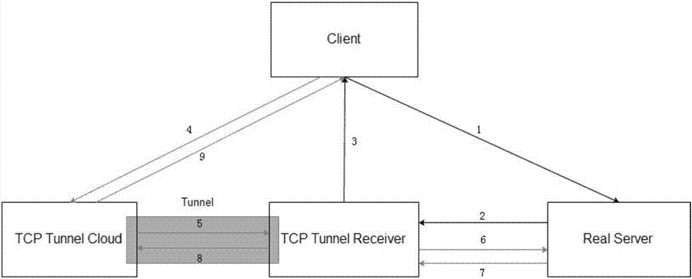 Cloud protection method and device based on tunnel mode